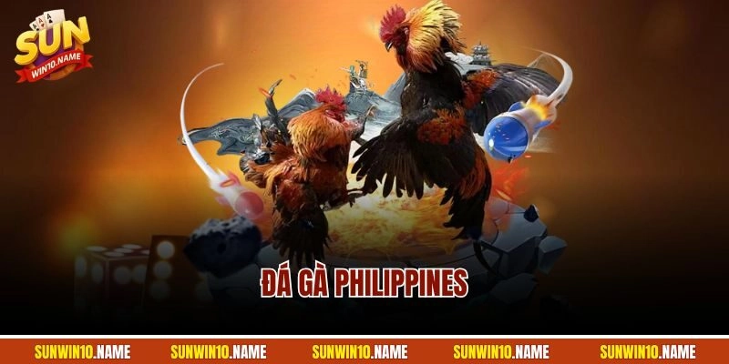 Đá Gà Philippines | Loại Hình Chọi Kê Bùng Nổ Nhất 2025