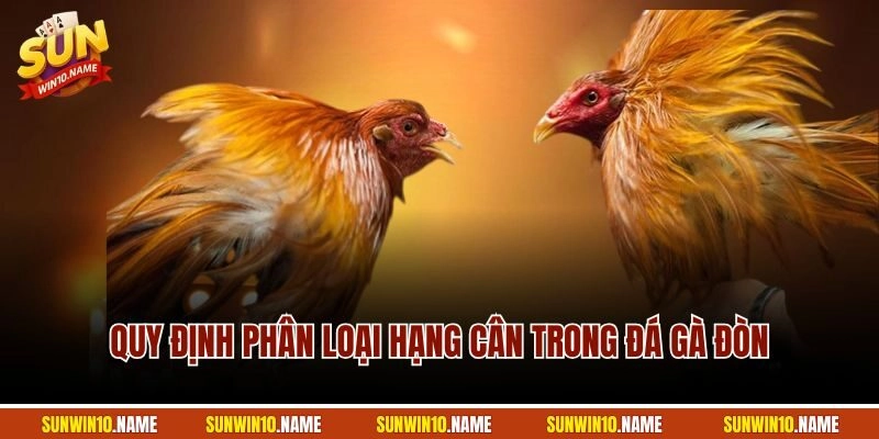 Quy định phân loại hạng cân trong đá gà đòn
